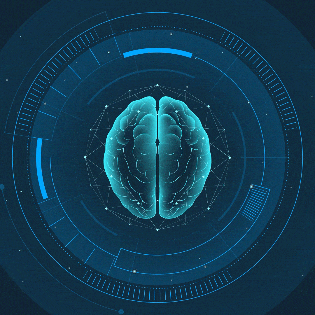 Brain